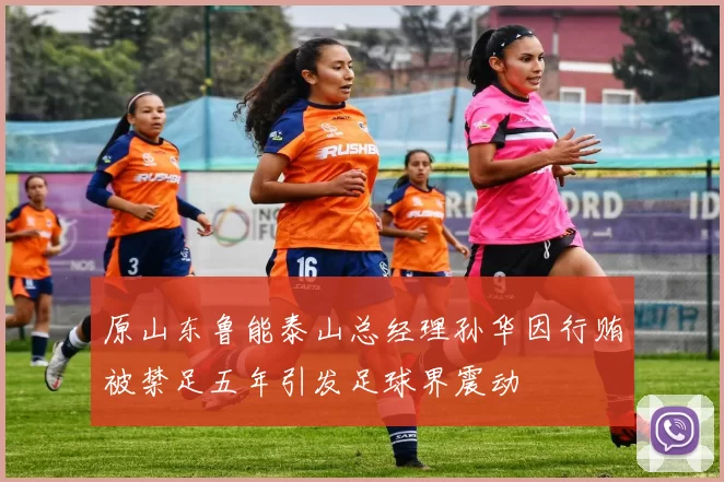 原山东鲁能泰山总经理孙华因行贿被禁足五年引发足球界震动
